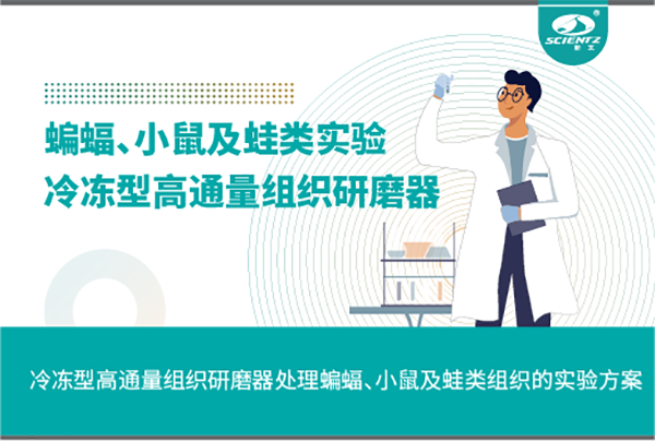 冷凍型高通量組織研磨器處理蝙蝠、小鼠及蛙類組織的實驗方案