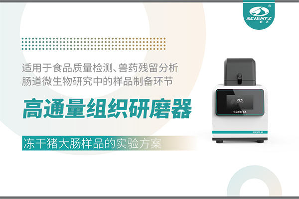 高通量組織研磨器處理凍干豬大腸樣品的實驗方案