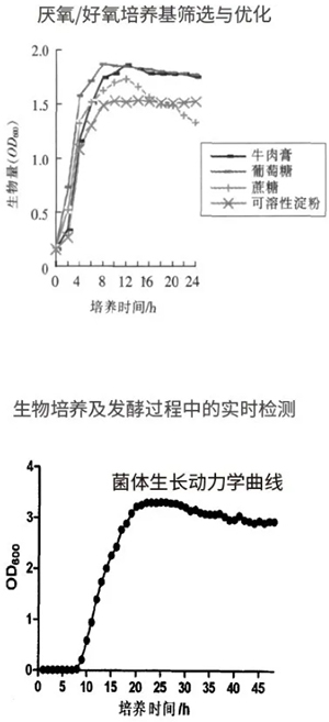 過程安全,結果精準