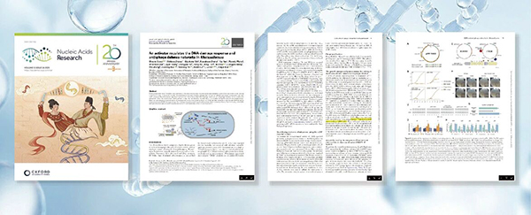 微信圖片_20251222130741